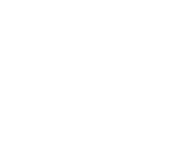 Evolution games at Royal Spin Hub Casino